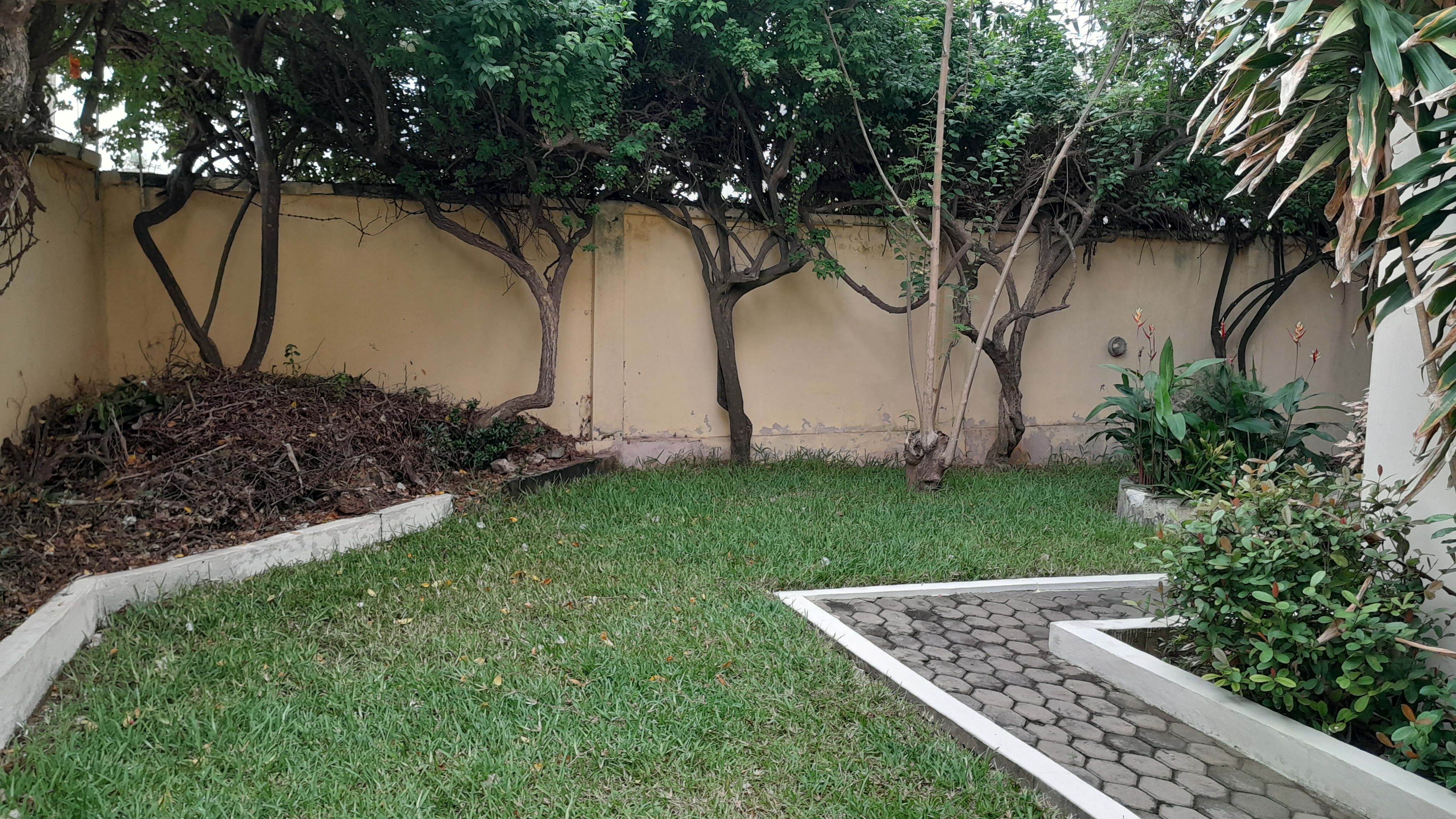 Lush Garden & Outdoor Space